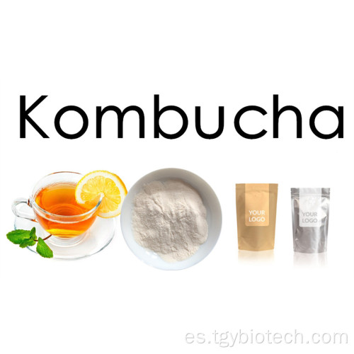 Extracto de té de kombucha orgánico al por mayor en polvo